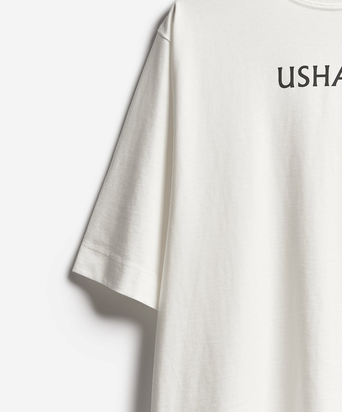 Regular Fit Logo T-Shirt