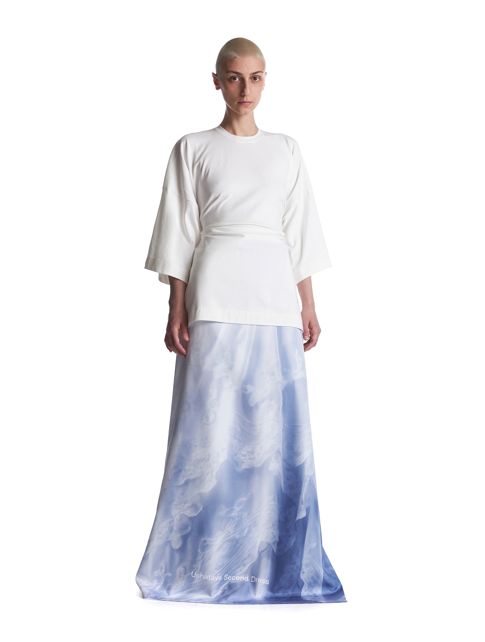 AI Garment Bag Dress