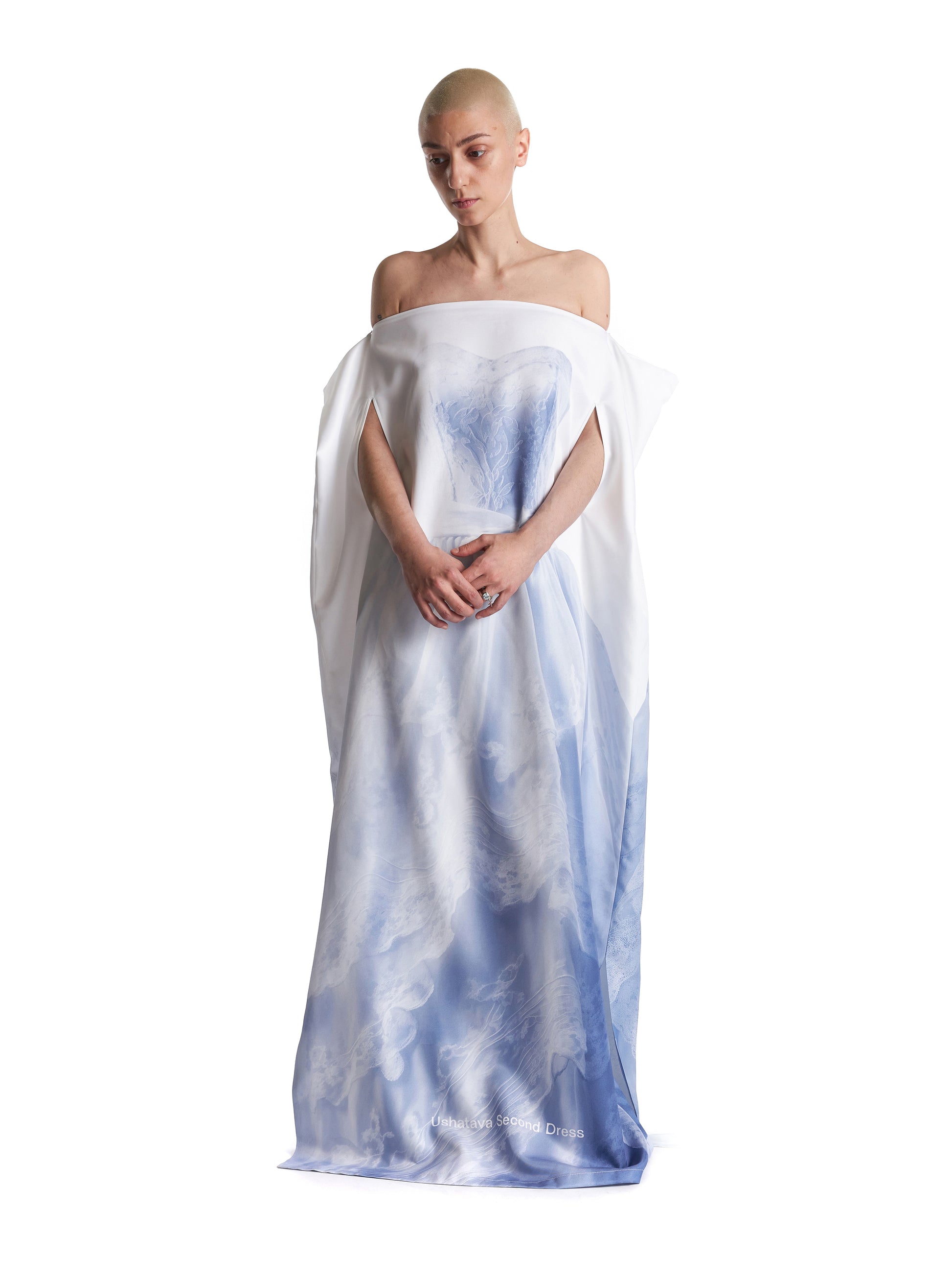 AI Garment Bag Dress