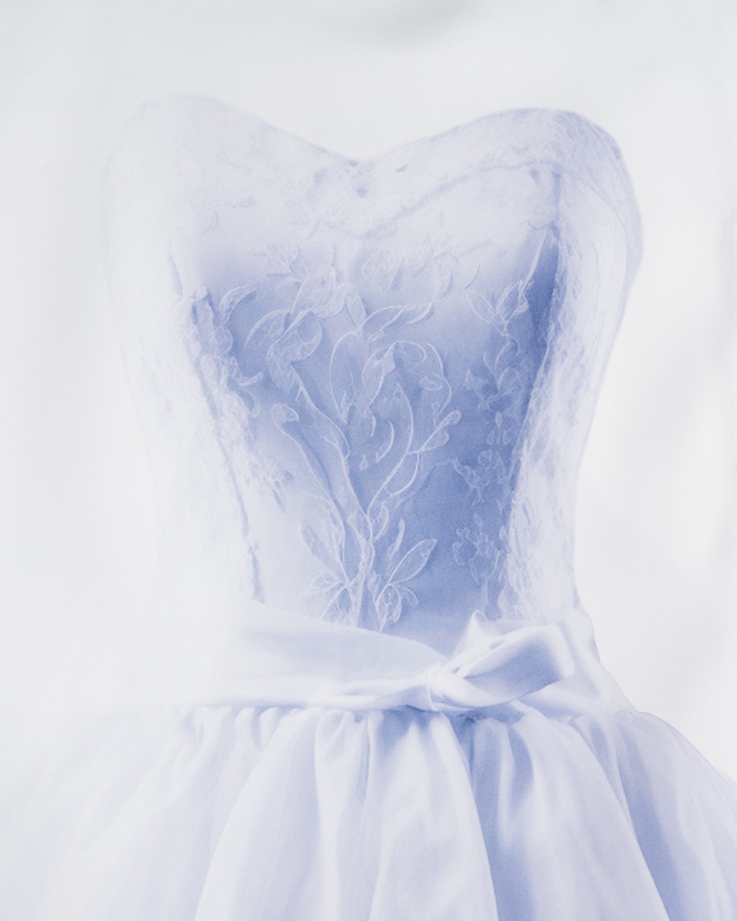 AI Garment Bag Dress