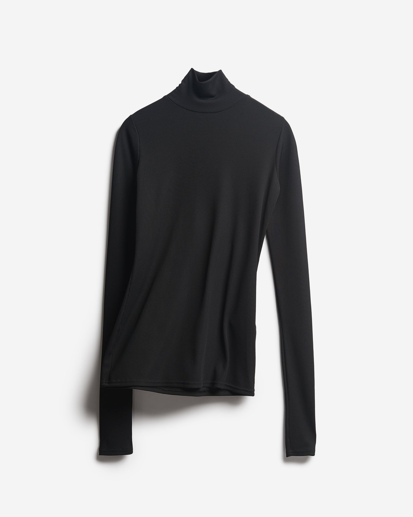 Ribbed Turtleneck